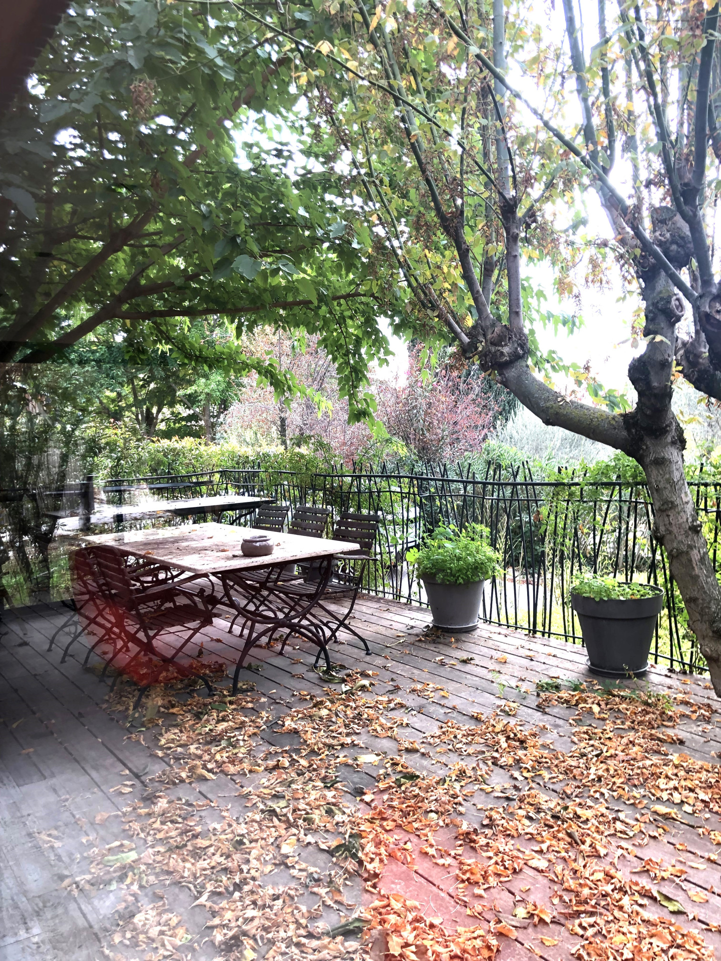 location-maison-Aix-en-provence-13100-6