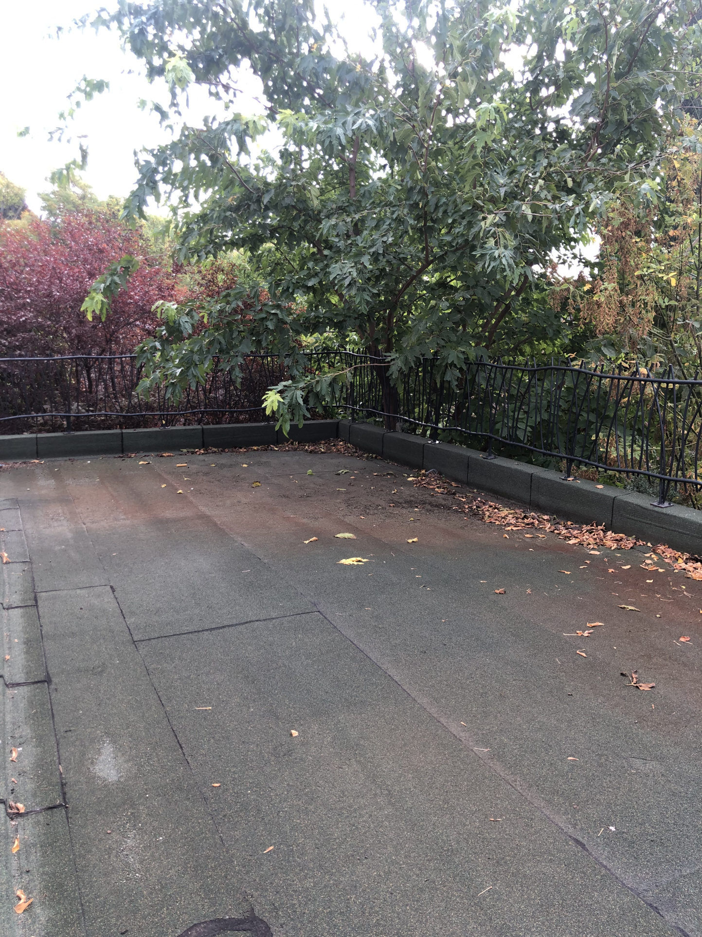 location-maison-Aix-en-provence-13100-6